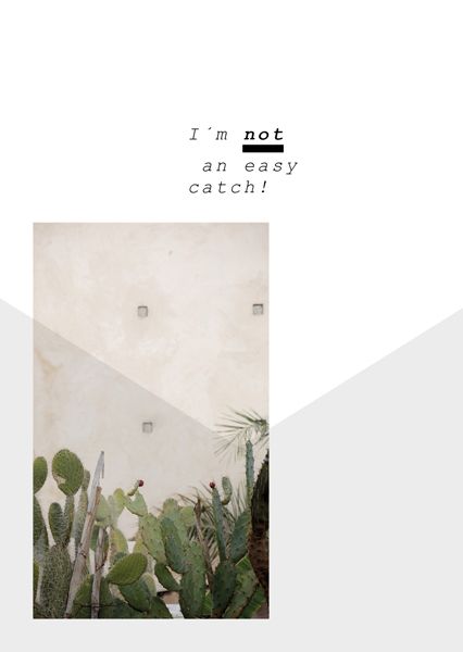 easycatch