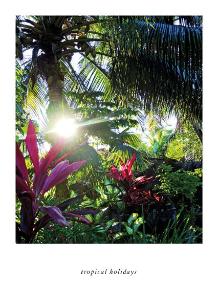 tropicalholidays
