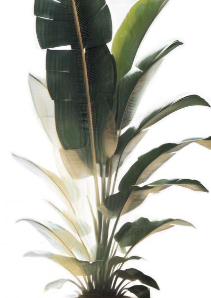 flower head